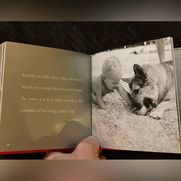 Dog Books — ‘Happy Dog Happy You’ & ‘Puppy Dogs’ (2) Books - Picture 8 of 16